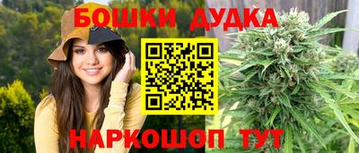 сатива Ставрополь