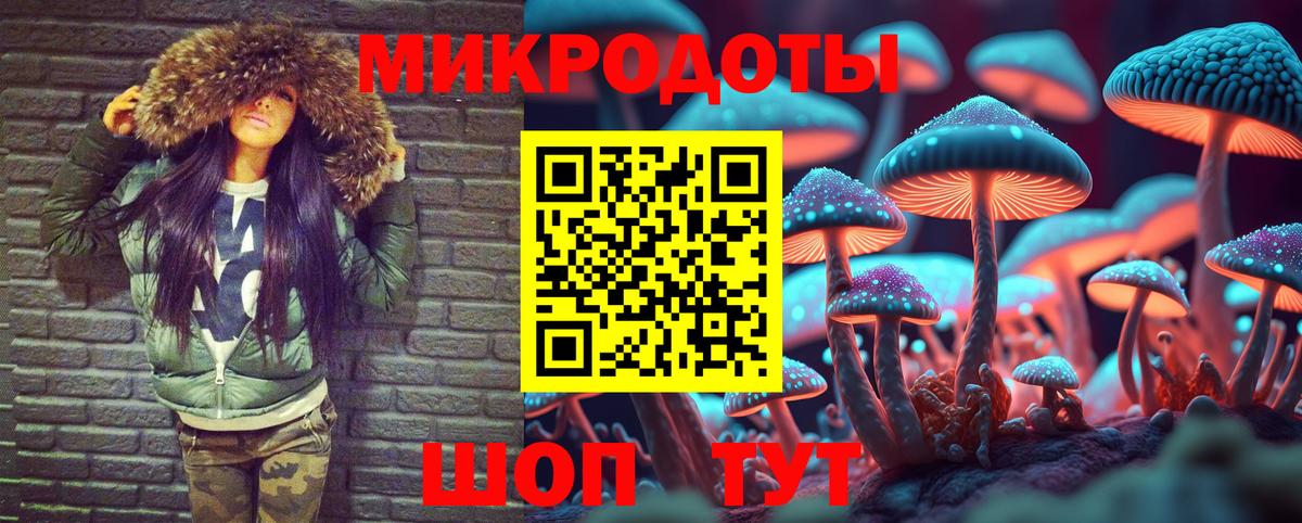 Волжск  Галлюциногенные грибы Psilocybe  Вход с VPN 
