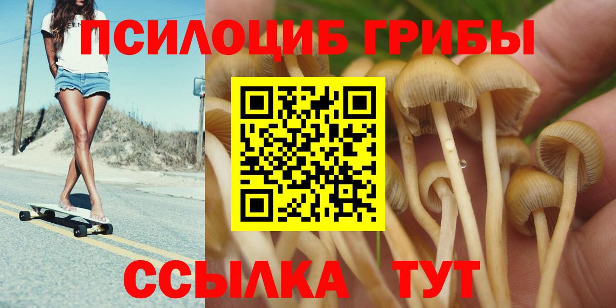 Псилоцибиновые грибы мицелий Волжск